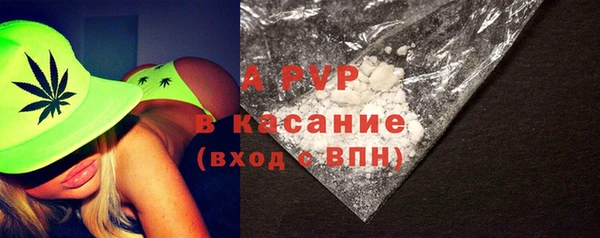 стаф Беломорск