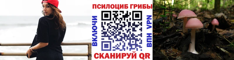 наркотики  Болхов  Псилоцибиновые грибы Psilocybine cubensis 